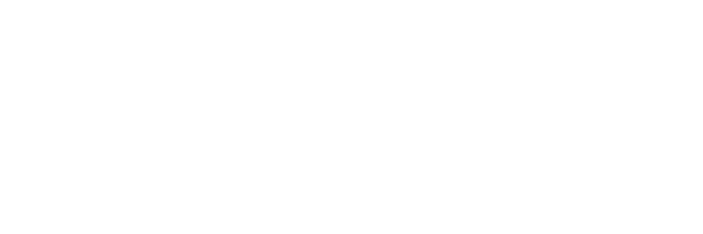 BlazeLink